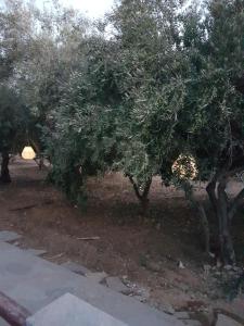 Naxos Garden Naxos Greece