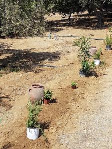 Naxos Garden Naxos Greece