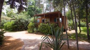 Camping villaggio L'Ultima spiaggia img2