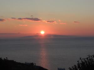 Sea Bird Andros Greece