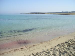 Splendida villetta tra gli ulivi, al mare