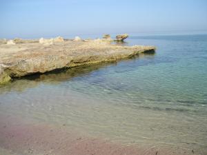 Splendida villetta tra gli ulivi, al mare