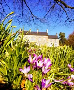 Dunmore Gardens - Carrigans