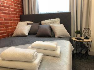 Family & Business Sauna Apartments Rynek Centrum Downtown - 2 Bedroom with Private Sauna, Balcony, Parking