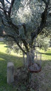 Chambre dhôte Anais