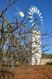 Agroturismo Finca Son Amora