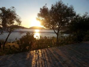 Panormitis Pizanias houses Kalymnos Greece