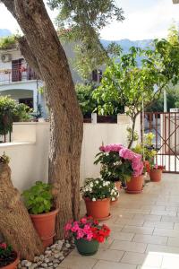 Apartments with a parking space Orebic Peljesac 4532
