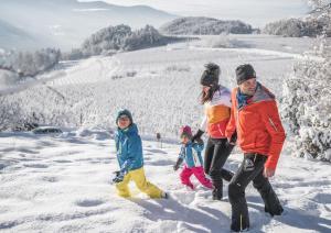 Pansion Retro appartments at Obst & Weingut Bühlerhof with lots of animals, near Brixen for family vacation Rasa Itaalia