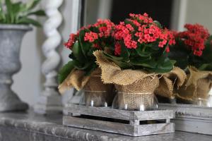 Maisons d'hotes Vintage Vert : photos des chambres