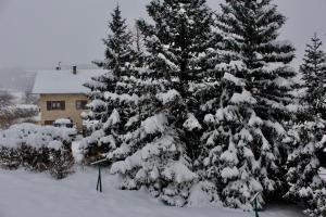 Appartements Plein Sud : photos des chambres