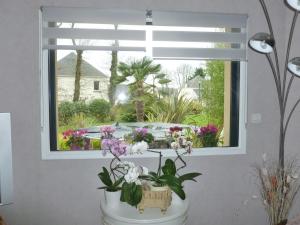 B&B / Chambres d'hotes Jardin du Levant : photos des chambres