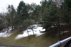 Idealnie skomunikowany apartament słoneczny