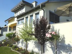 艾尔菲公寓 - Barnbäch