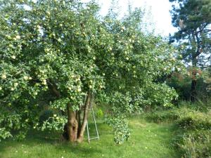 Ferienwohnung Bi Elschen
