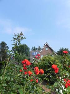 Haus *Üüs Aran* Wohnung Nr. 6