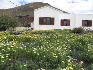 Casa Montaña de Tahiche, Tahiche - Lanzarote