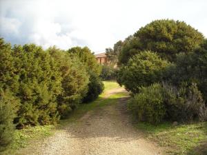 Agriturismo Depalmas img38