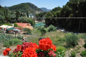 Ponte Rossa Apartments