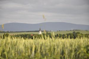 Lusatia Farm