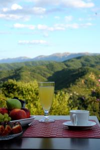 Villa Menta in Zagori Zagori Greece