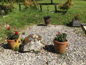 Maisons de vacances Longere 2 pers au coeur de la Touraine : photos des chambres