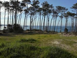 Villa Luisa Apartment