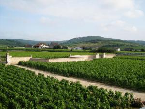 B&B / Chambres d'hotes Chateau de Chassagne-Montrachet : photos des chambres