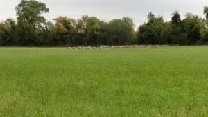 Maisons de vacances Gite du gardien : photos des chambres