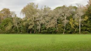 Maisons de vacances Gite du gardien : photos des chambres