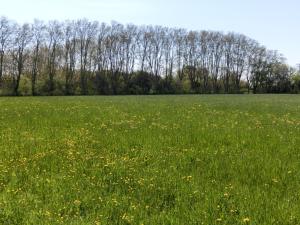 Maisons de vacances Gite du gardien : photos des chambres