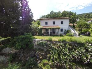 Apartments Panoramic