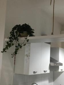 AGRIB&B Il Pomo d'oro img81