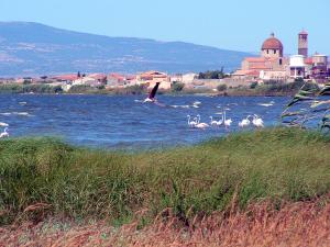 Agriturismo Sa Ruda img44