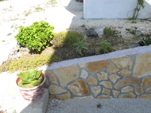 Sunny Apartman Pajdek