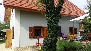 Hytte villa vita Balatonfüred Ungarn