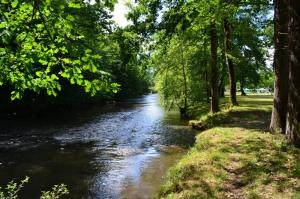 Campings Les Berges Du Cele : photos des chambres