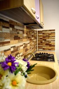 Pensiune Spital Fundeni