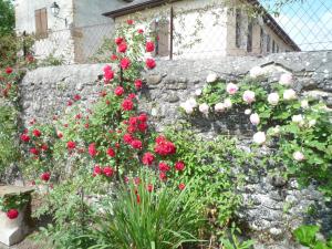 Bearn Bed & Breakfast photo 9