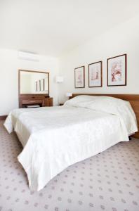 Hotel Termy Pałacowe