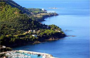 afra Bed & Breakfast