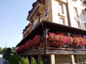 Apartment Vila Sandra