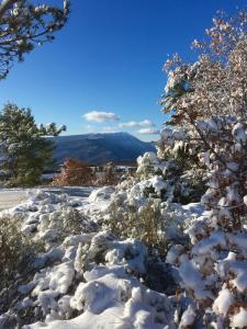 B&B / Chambres d'hotes Mas de la Pauze : photos des chambres