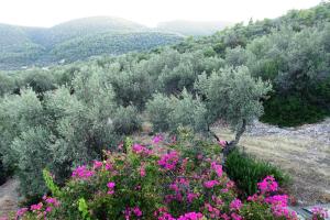 Maisonette Ilios Korinthia Greece