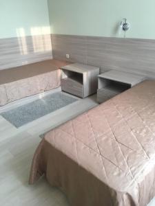 Superior Twin Room room in Hotel Sokol