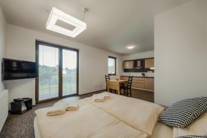 Standard Apartment room in Village Resort Hanuliak Apartmany