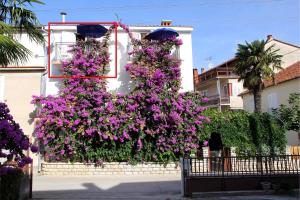 Apartments J&R Babara 