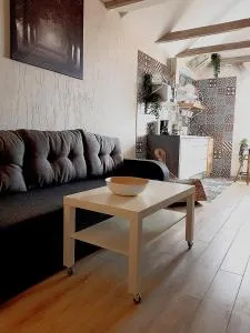 Dp Art 14 OLD TOWN Self check in - Kaunas