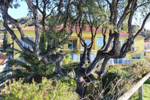 Hotel de la Fossette photo 18