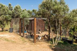 Tenuta Petra Bianca img24